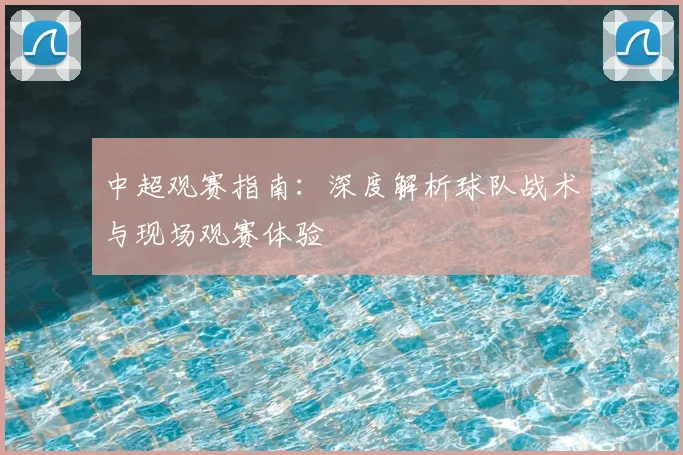 中超观赛指南:深度解析球队战术与现场观赛体验