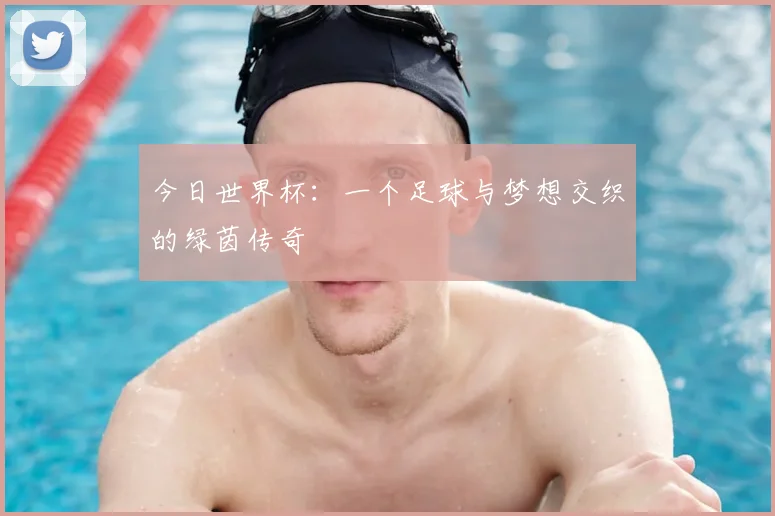 今日世界杯:一个足球与梦想交织的绿茵传奇