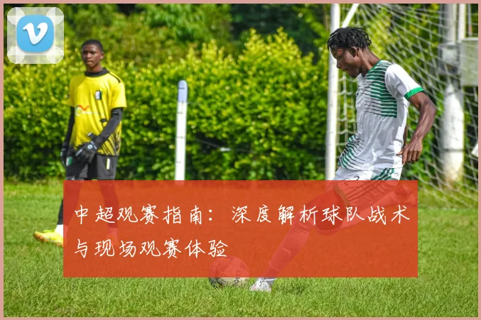 中超观赛指南：深度解析球队战术与现场观赛体验